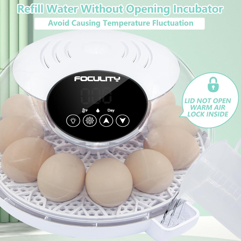 Egg Incubator for Hatching Chicks, Holds 12 Eggs, Automatic Egg Turner with Temp