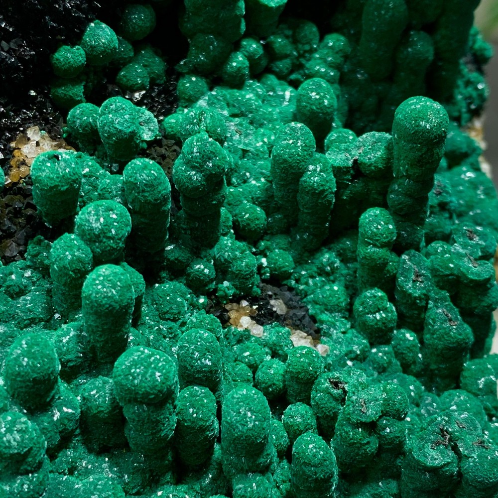 2.34LB Natural Malachite rysocolla transparent cluster rough mineral Sample