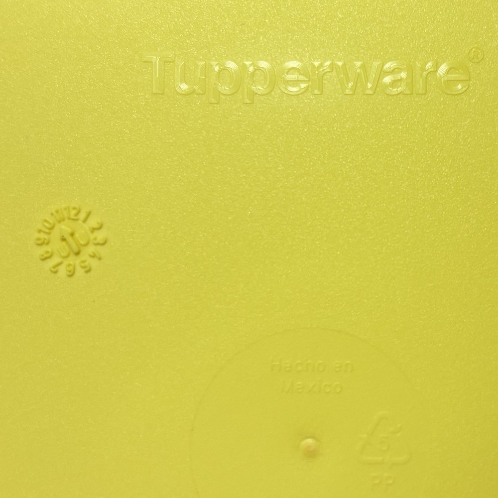 Tupperware SPONGEBOB SQUAREPANTS Sandwich Keeper Gary Pineapple 2007 EUC