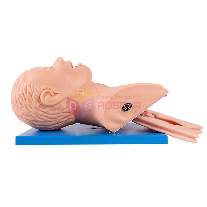 Intubation Manikin Study Teaching Model Training Manikins Patient Simulators