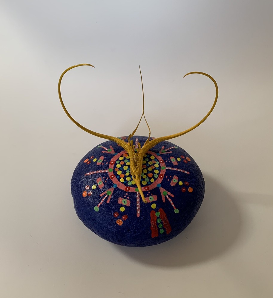 Proboscidea Devil's Claw FOLK ART SCULPTURE Painted Rock DEVIL'S Paperweight