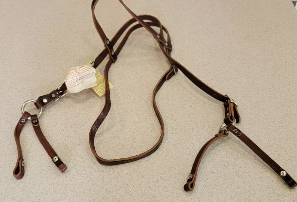 MacPherson Leather Horse Halter Band Headstall