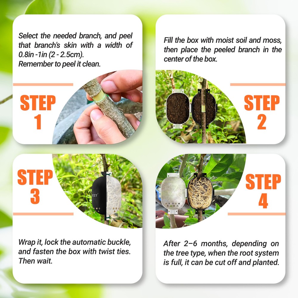 [Upgraded] 9Pcs Tree Root Growing Box with Drain Holes, Half Transparent Plan...