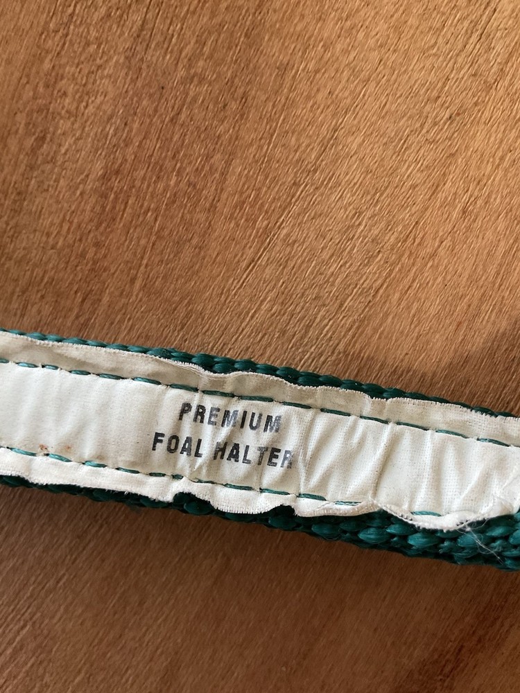 BMB Nylon Foal Halter Green Adjustable Brass Hardware
