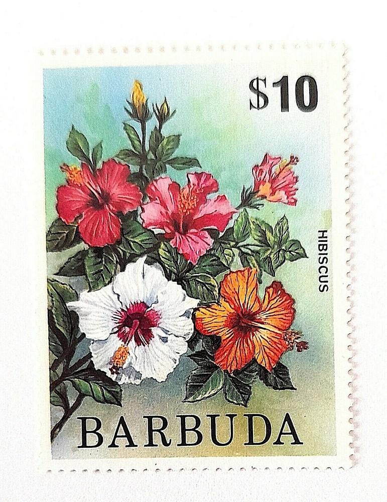 BARBUDA - MNH - 1975 - Flower - 1/1v