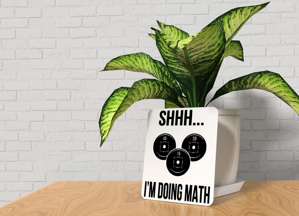 I'm Doing Math | Funny sign For Home or Office