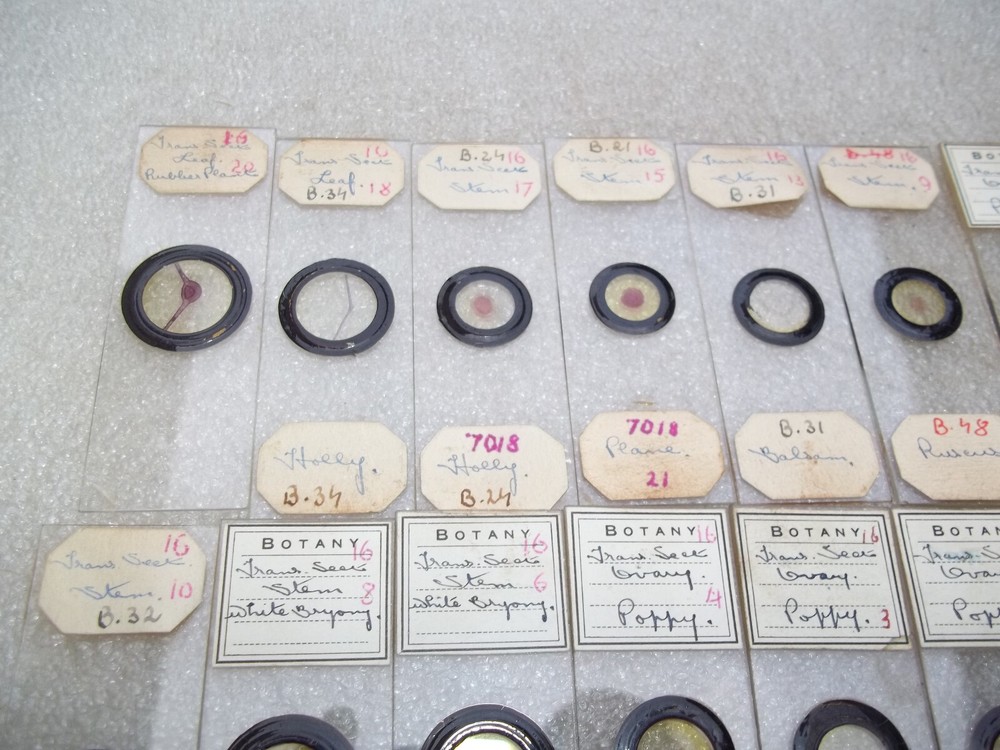 Vintage Glass Microscope Slides -