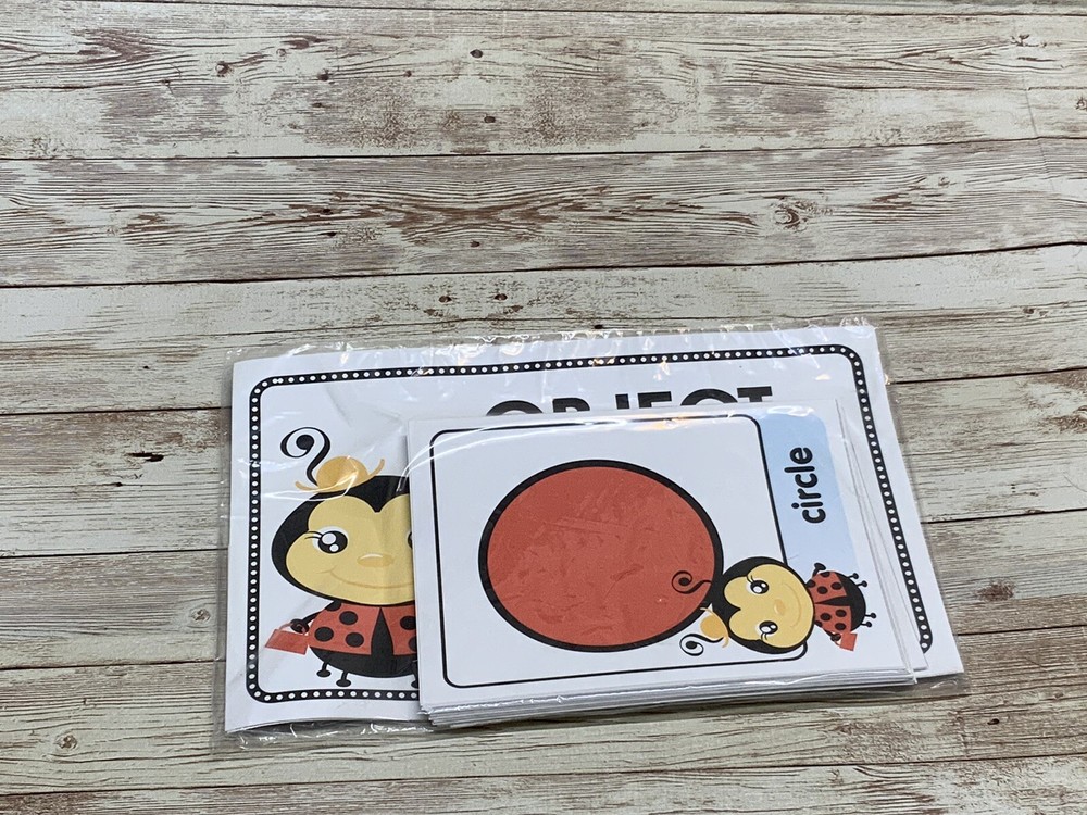 Ladybugs - Themed Learning Centers - Laminated - Object Shape Match