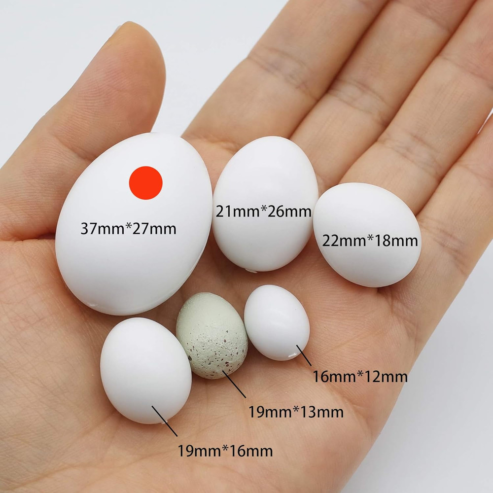 5 Pcs Solid Parrot Plastic Eggs Hatching Eggs Mini Macaw Cockatoo African Grey