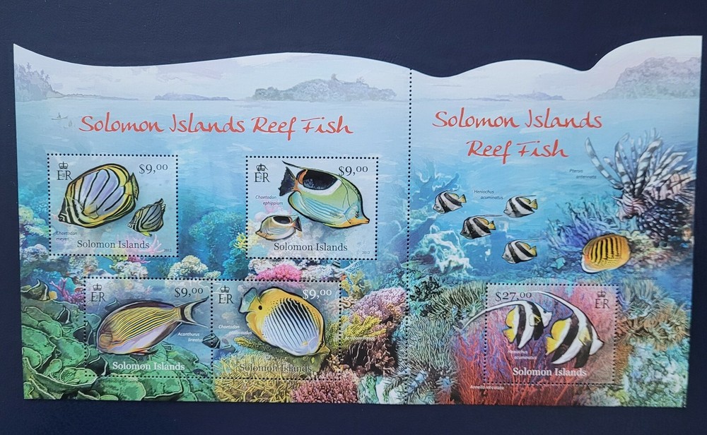 Solomon Island 2012 /  Marine Life - Reef Fish 