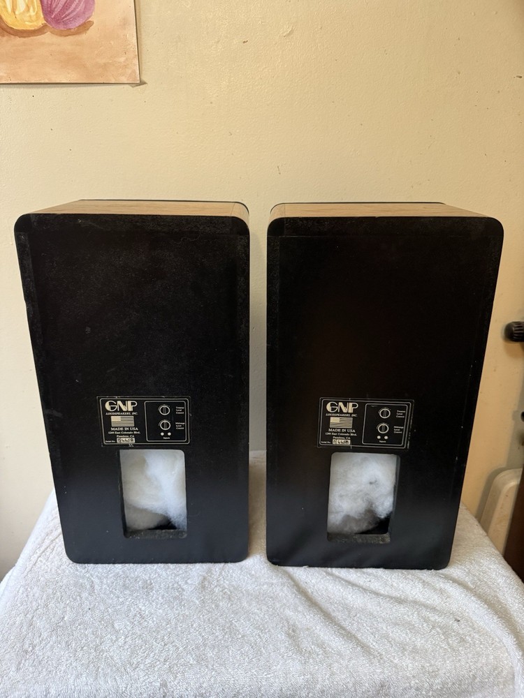 GNP 220 Speaker Empty Cabinet With Covers Only