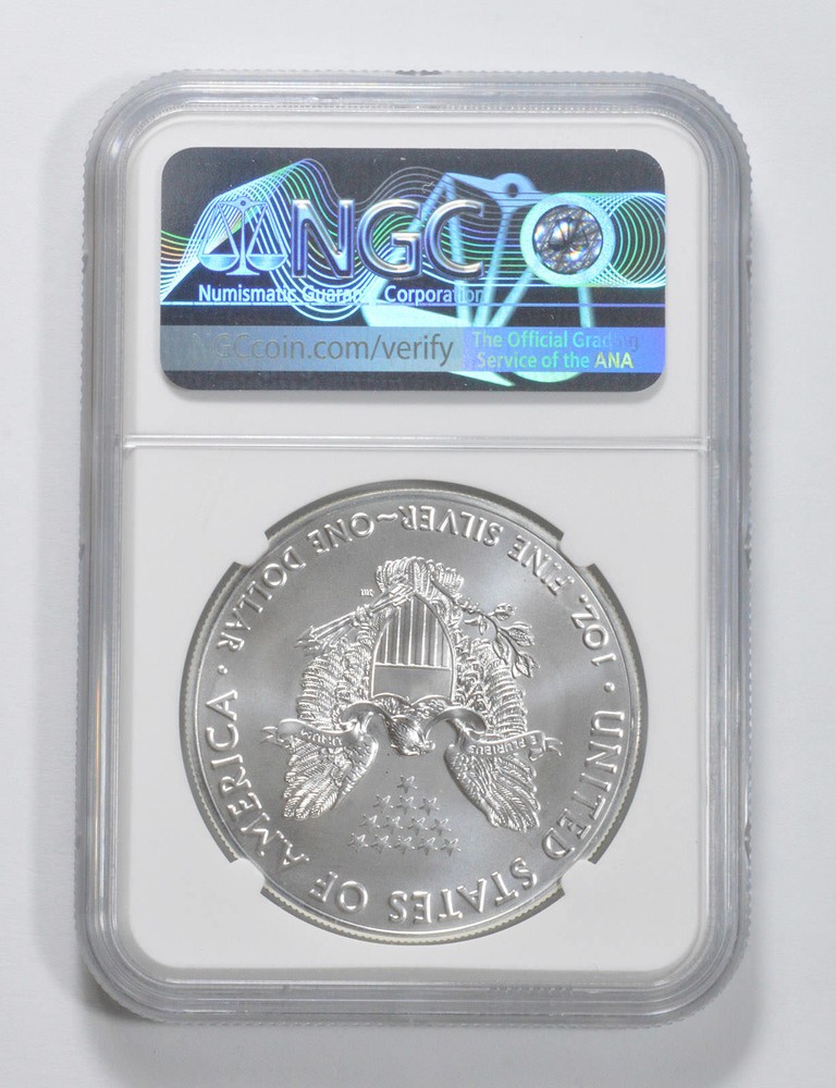 MS69 2019 American Silver Eagle NGC Brown Label