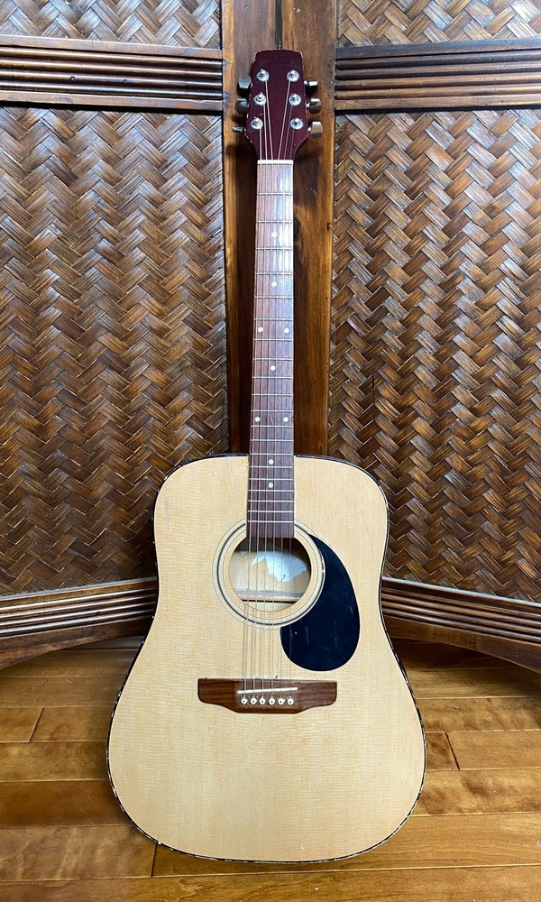 VINTAGE PALMER Acoustic