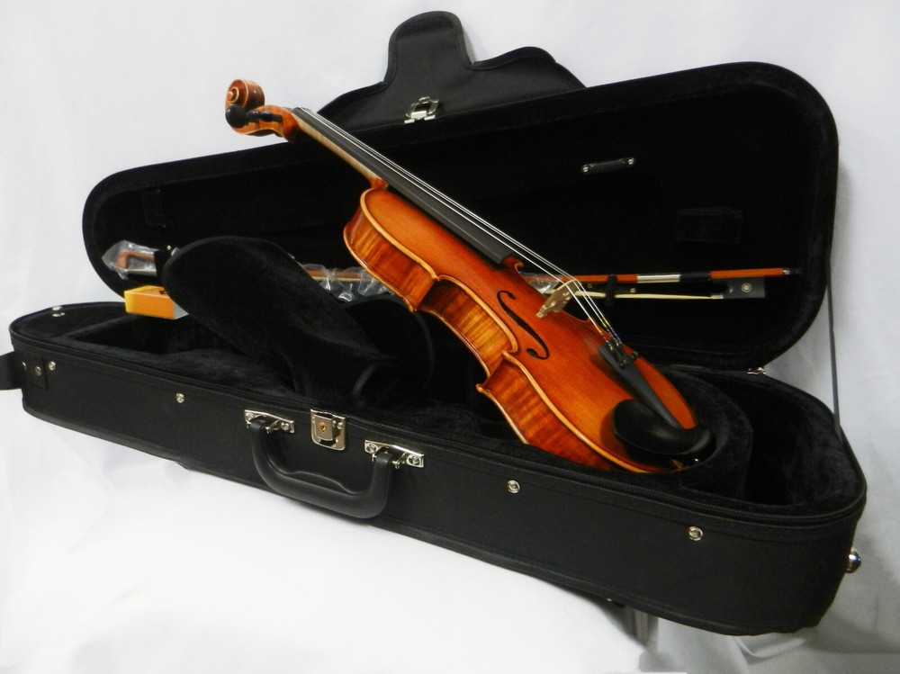 New Advanced Violin 4/4 Size Outfit /Dominant Strings & Despiau Bridge