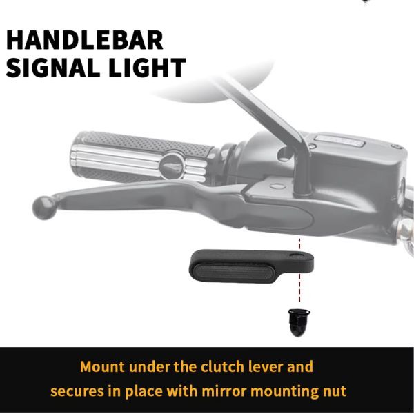 LED Indicator Signals for Harley Davidson Softail Deuce FXSTD 2000-2004