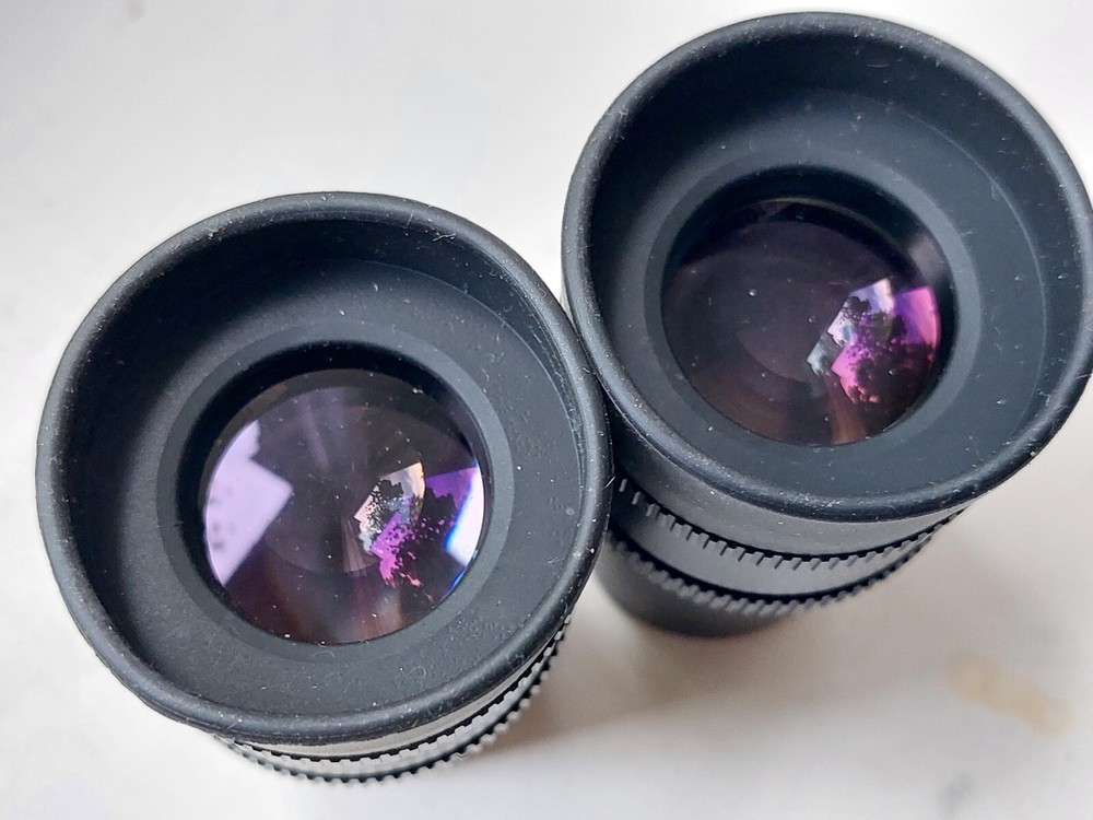 Eyepieces for microscope Leica HC Plan 10x/20 pair