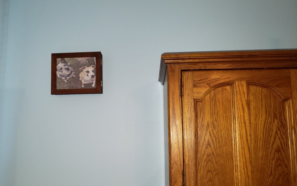 concealment picture frame