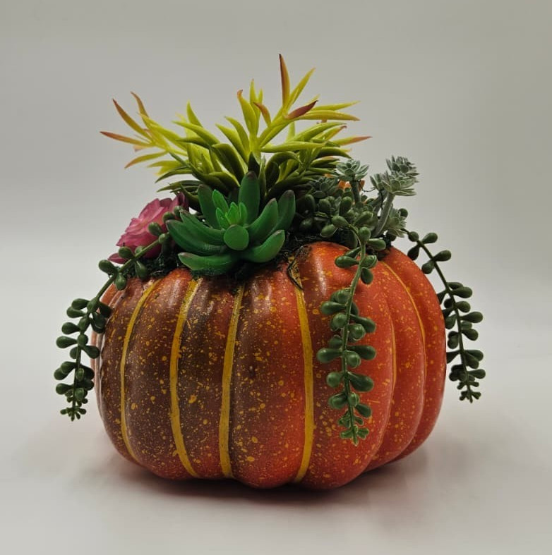 8" Pumpkin Succulent Decoration Fall Autumn Desk Window Office Computer