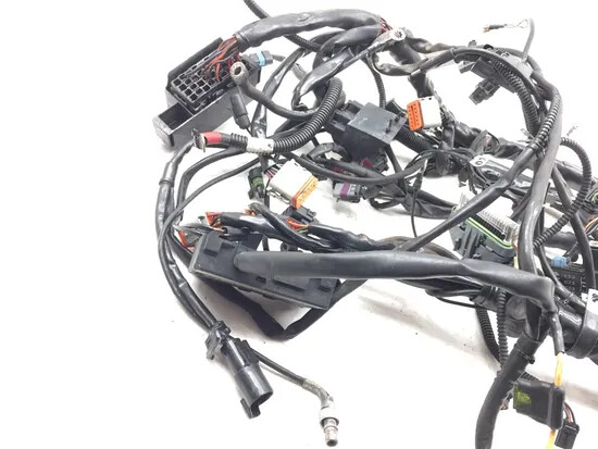 Main Engine Wiring Harness 2004 Harley-Davidson Electra Glide EFI FLHTI 3199