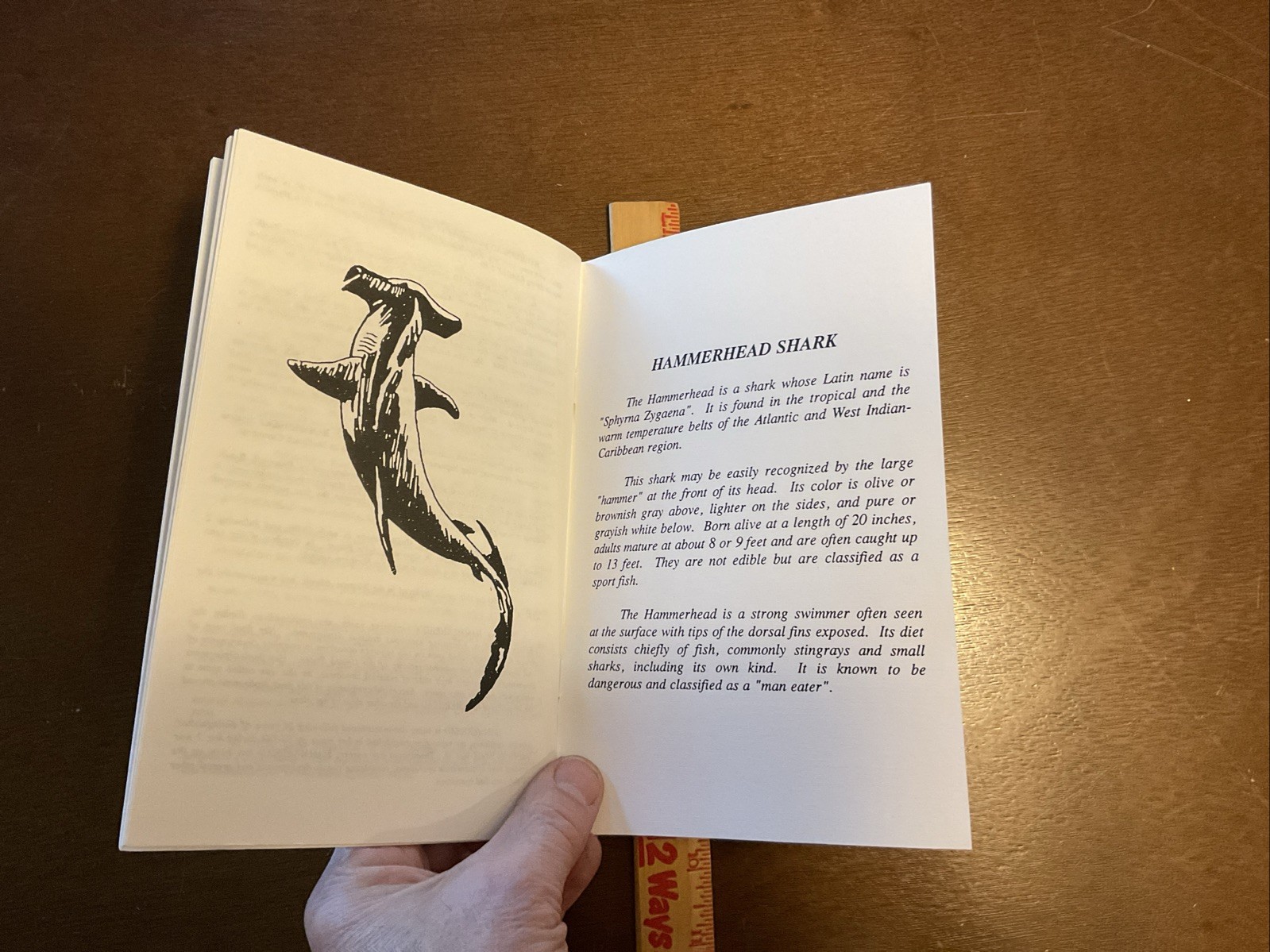 Inactivation Ceremony USS HAMMERHEAD SSN 663 Handout Pamphlet Vintage