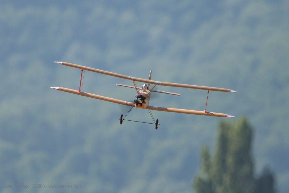 Udet Flamingo