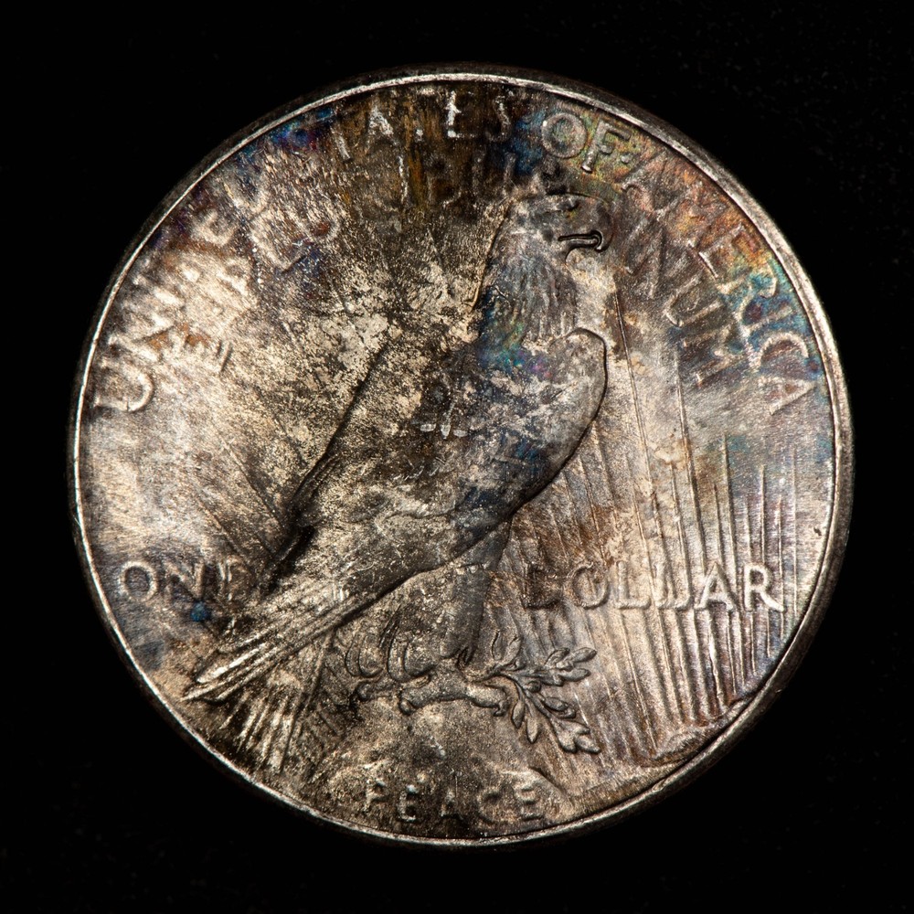 1925 $1 Silver Peace Dollar - Violet Rainbow Pattern - SKU-D7348