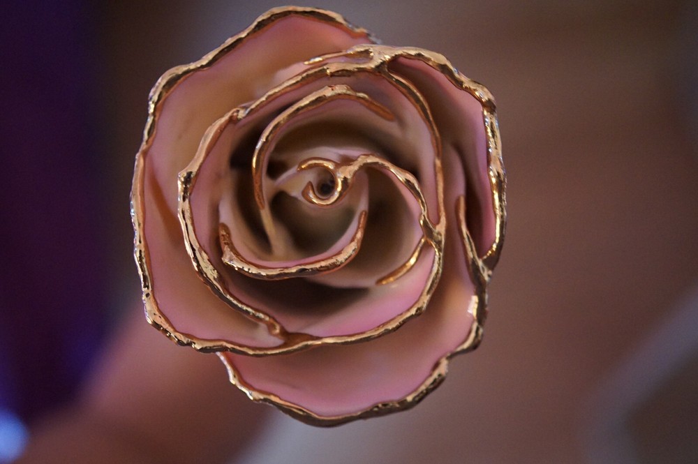 24k rose co