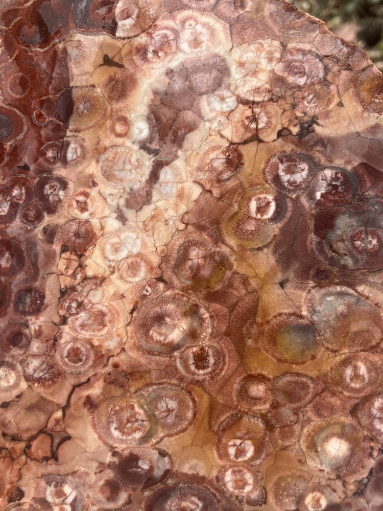 Bird’s Eye Rhyolite Slab