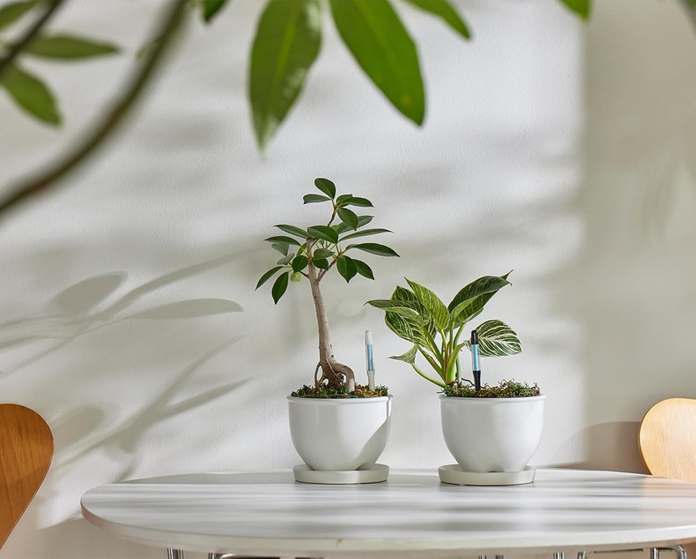 Aquameter Leave-in Soil Moisture Meter - 5 Pack