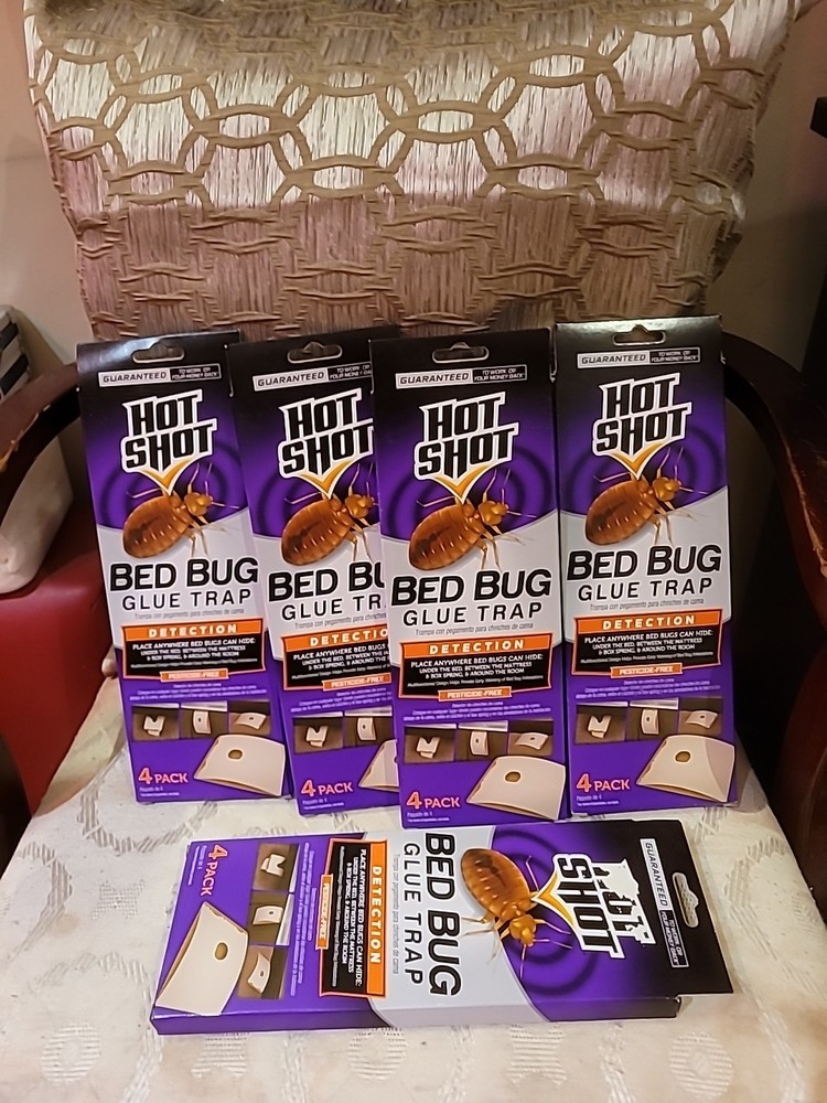 5 Hot Shot PREVENT & DETECT Bed Bugs Glue Trap Stations Bedbug Detection NEW