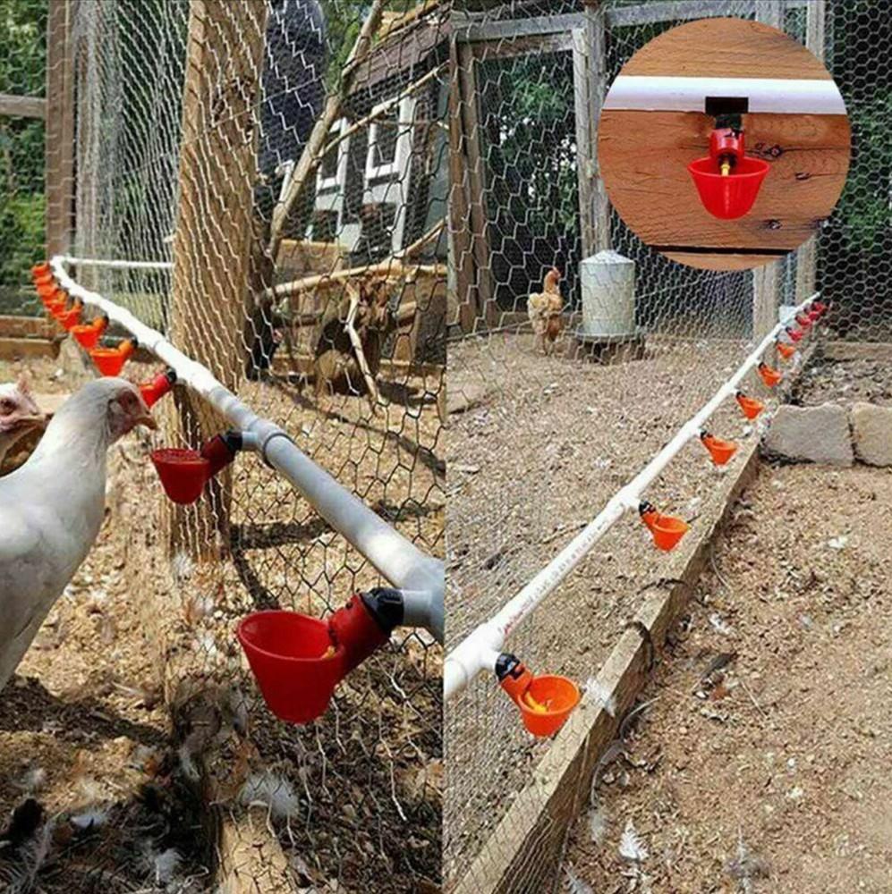 50 Poultry Water Drinking Cups Chicken Hen Plastic Automatic Drinker Feeder
