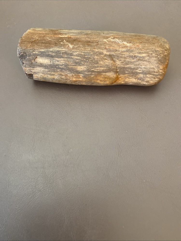 Petrified Wood