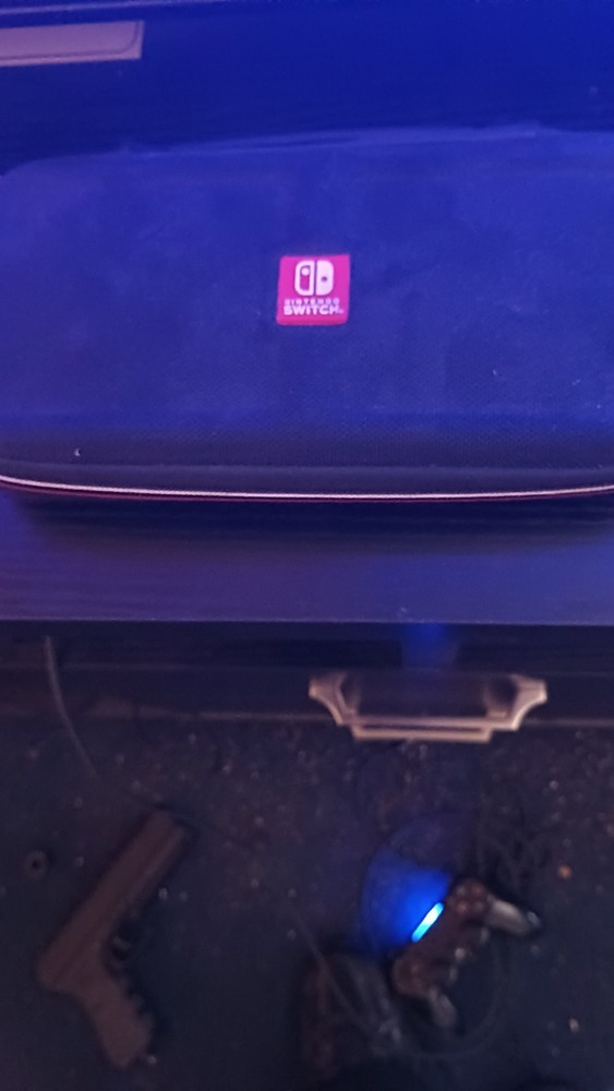 Nintendo Switch Carrying Case
