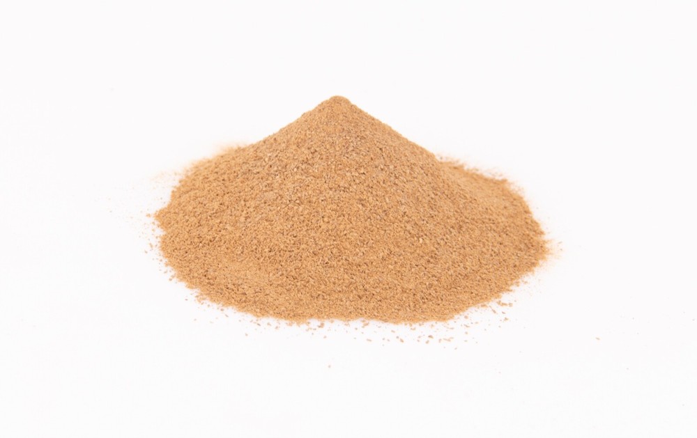 Triceratops Bone - 100% Pure & Natural