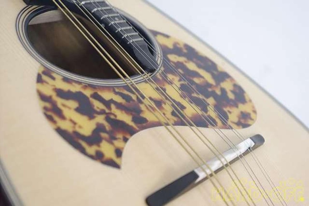 Miyano M-1 Mandolin-01