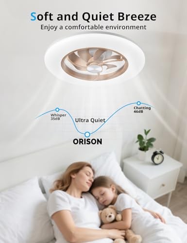 Ceiling Fan with Light, 22.4" Low Profile Ceiling Fan with Light, 6 Wind