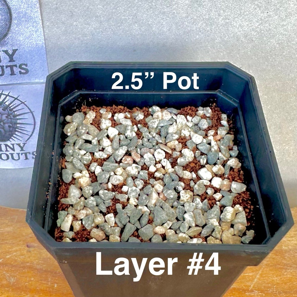 4 Layer System Cactus Seed Sowing Germination Mix Soil Kit Mycorrhizae 1 QUART