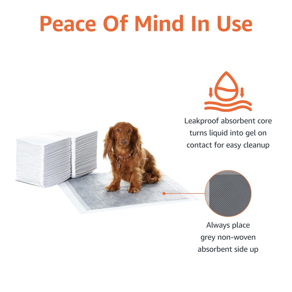 Amazon Basics Carbon Odor Control Dog and Puppy Pee Regular (80 Count), Gray