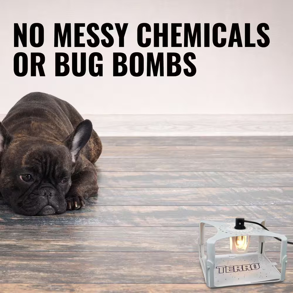 Refillable Flea Trap