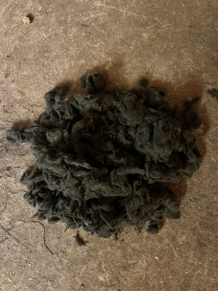 Black glowing embers