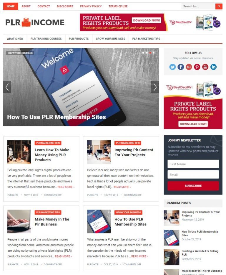DFY PLR WORDPRESS THEME+FREE SETUP PRE-DESIGNED BANNERS AND ADS