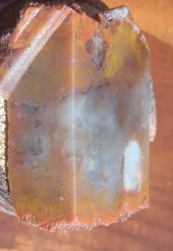 Volcanic Petrified Wood Limb Casting End Cut From Cube Utah See Cube