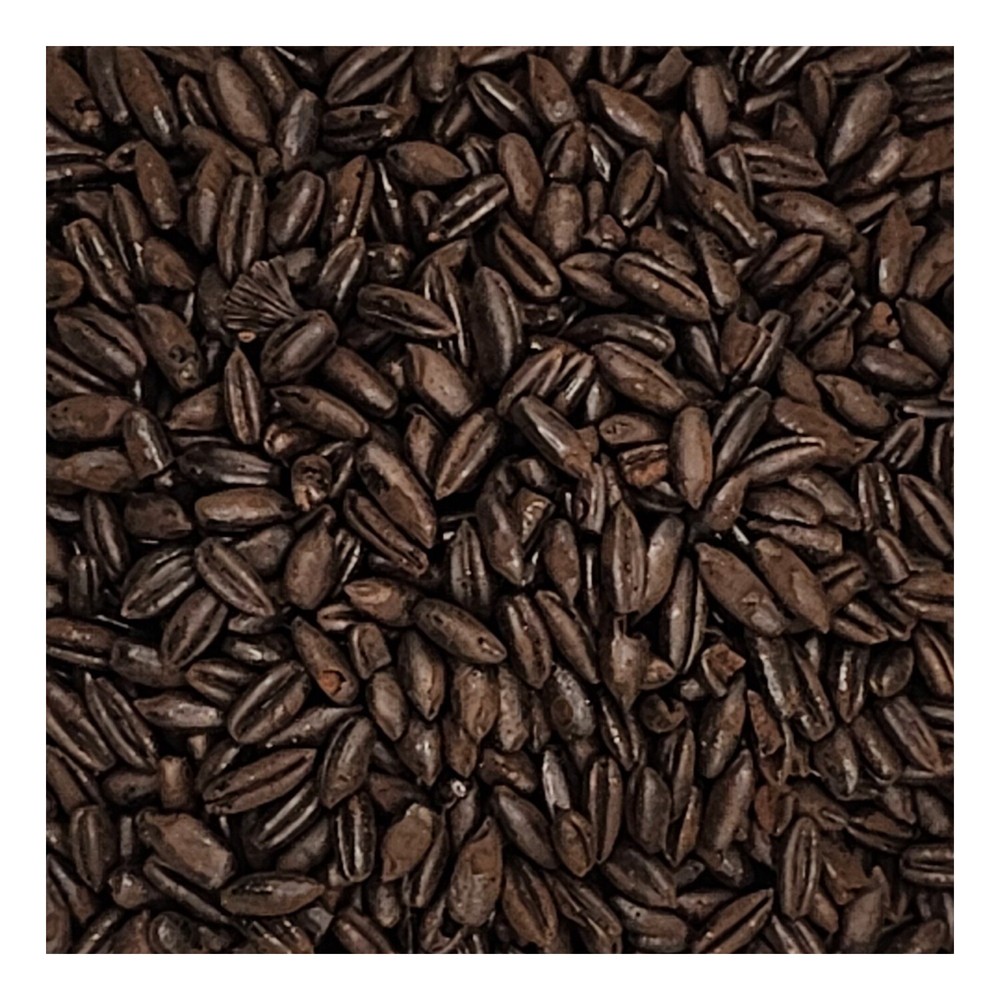 Home Brew Ohio Chocolate Wheat Grain 1lb