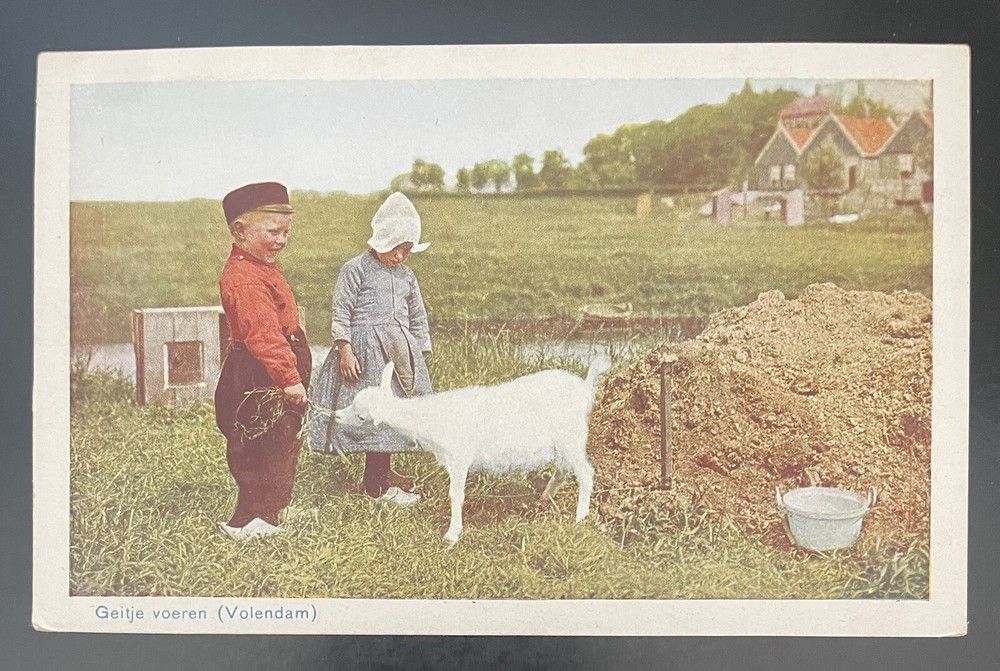 NETHERLANDS-GEITJE VOEREN (VOLENDAM)-POST CARD-UNUSED-J998