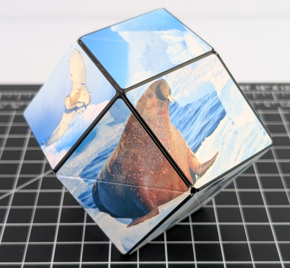 Shashibo Cube Arctic Wild Series Animal Design Patterns Fidget Toy