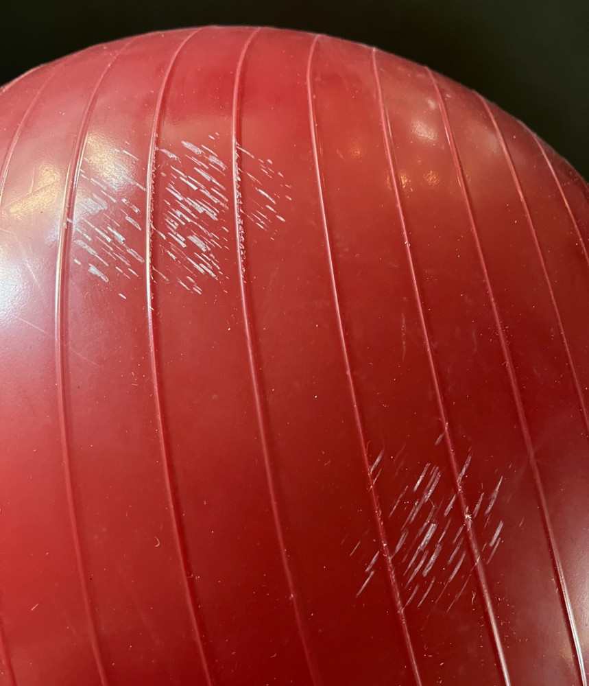 Thera-Band 55 cm Professional Exercise Ball_Red