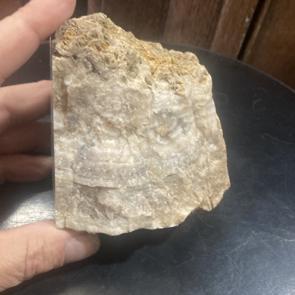 Banded Agate Lapidary Slab Rough Mineral Specimen