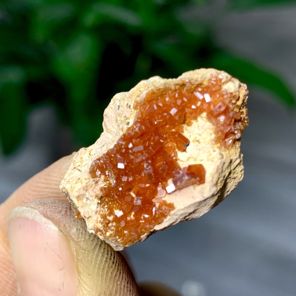 8GNatural Beautiful Vanadinite Atone Cluster Quartz Mineral SamplefromMorocco