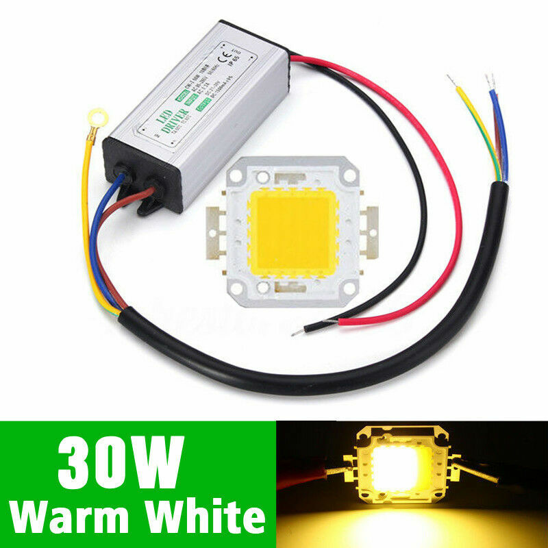 LED Driver + COB Chip 100W 50W 30W 20W 10W Power Supply Transformer Bulb Lights