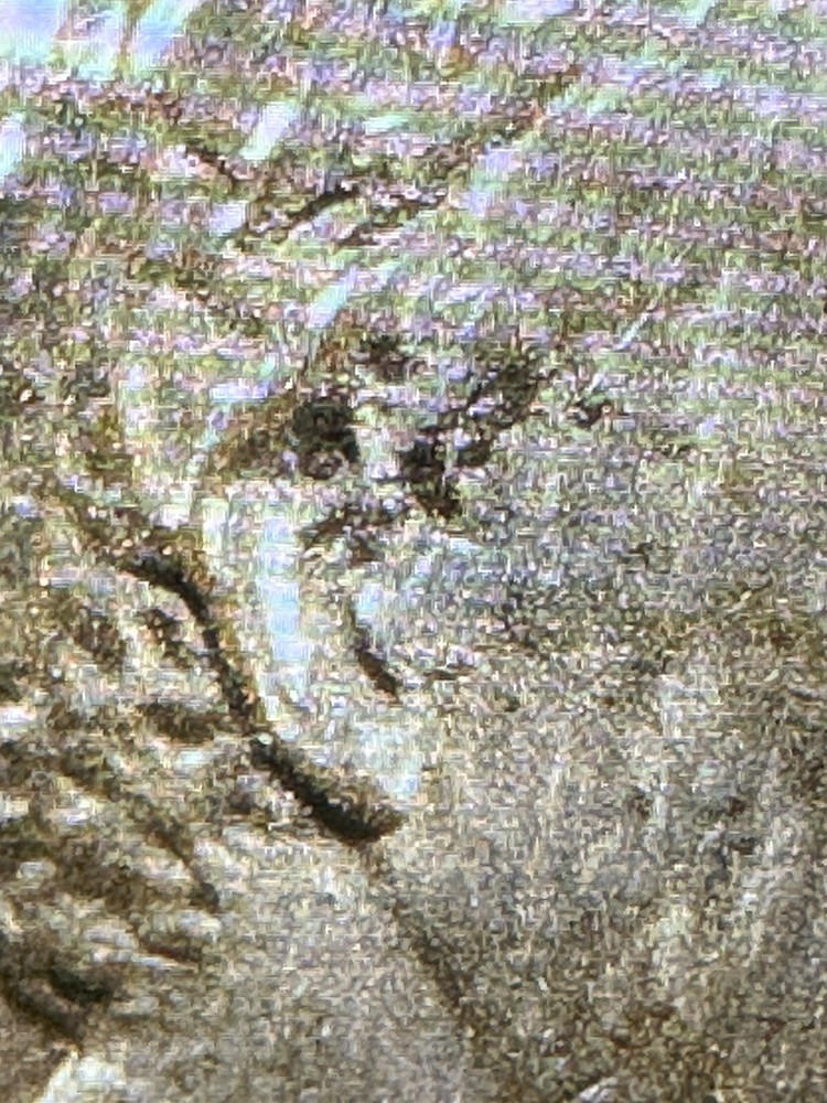1984 Very Good Penny With Multiple D D Very Rare Errors # 1 ⭐️⭐️⭐️⭐️⭐️